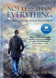 Not Less Than Everything - eBook